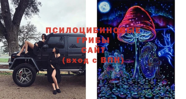 индика Лихославль