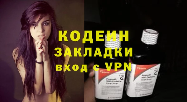 индика Лихославль