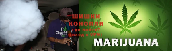 прущие грибы Липки