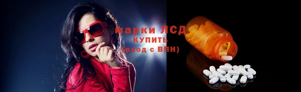 прущие грибы Липки