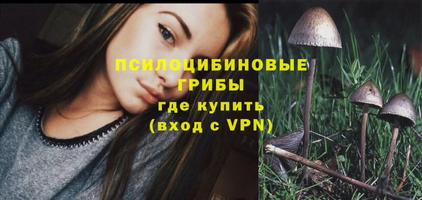 индика Лихославль