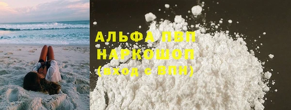 прущие грибы Липки